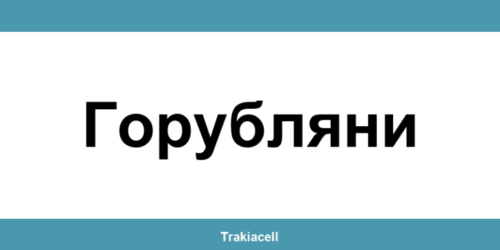 Телефон на Булсатком и офиси в Горубляни (Gorublyane)