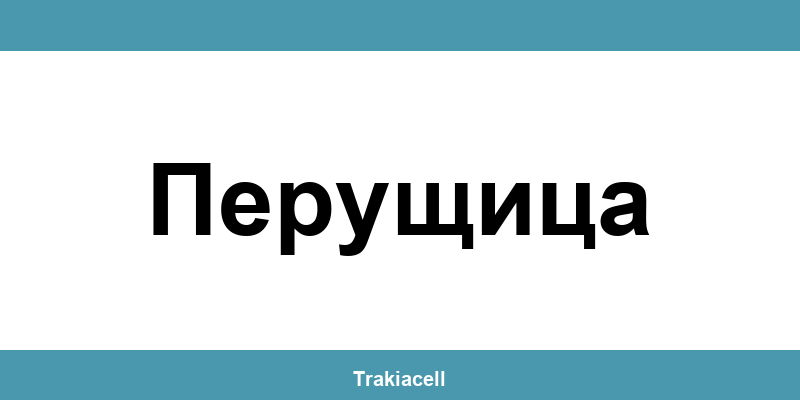 Телефон на Булсатком и офиси в Перущица (Perushtitsa)