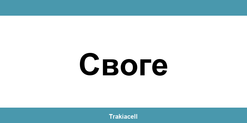Телефон на Булсатком и офиси в Своге (Svoge)