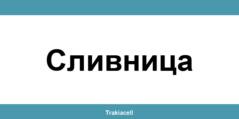 Телефон на Булсатком и офиси в Сливница (Slivnitsa)