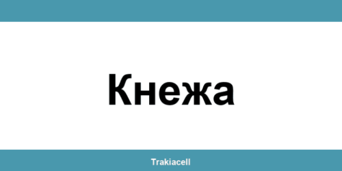 Телефон на Булсатком и офиси в Кнежа (Knezha)